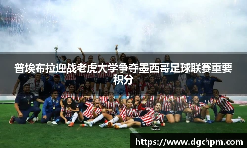 bb贝博艾弗森官方网站