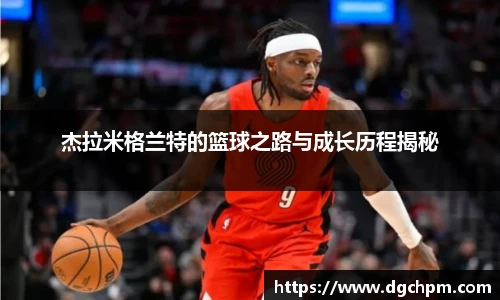 bb艾弗森官网