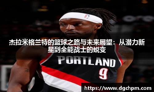 bb艾弗森官网