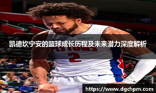 BB贝博艾弗森原官方网站
